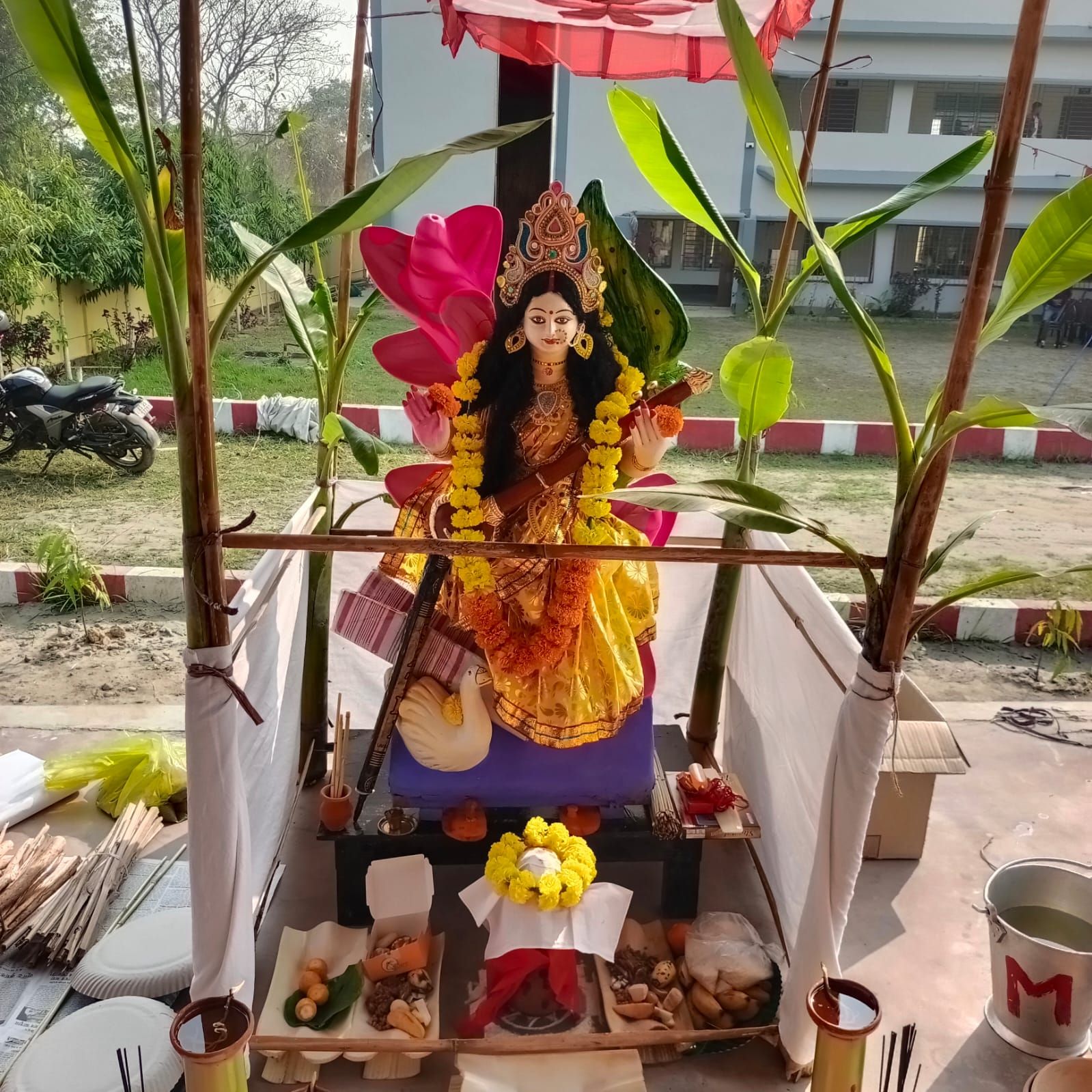 WhatsApp Image 2026 01 29 at 11 04